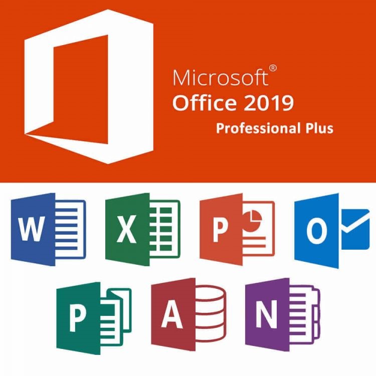 Microsoft Office Pro Plus 2019 for Windows (Government ...